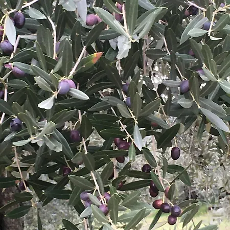 Casa Roda בית נופש קאסטיגליונה דל לאגו