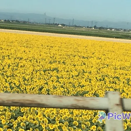 بيت للعطل Casa Roda