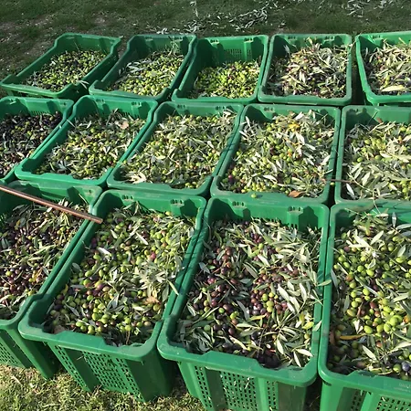 بيت للعطل Casa Roda *