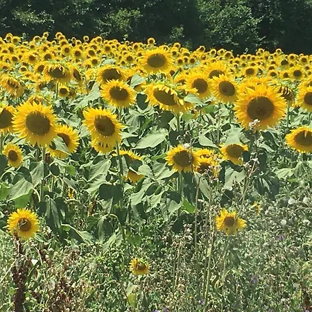 בית נופש Casa Roda *