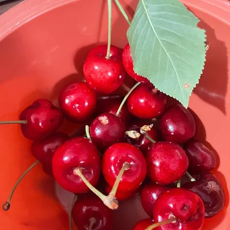 Casa Roda بيت للعطل *