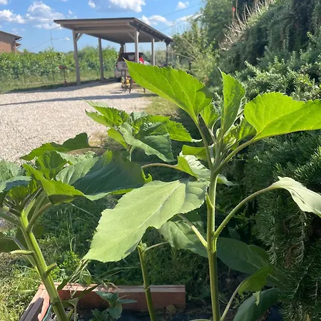 Casa Roda Umbria 1km Da Toscana Dom wakacyjny Castiglione del Lago