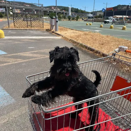 Casa Roda بيت للعطل