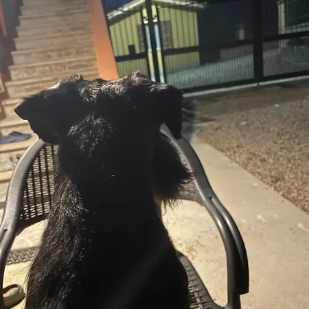 Casa Roda カスティリオーネ・デル・ラーゴ