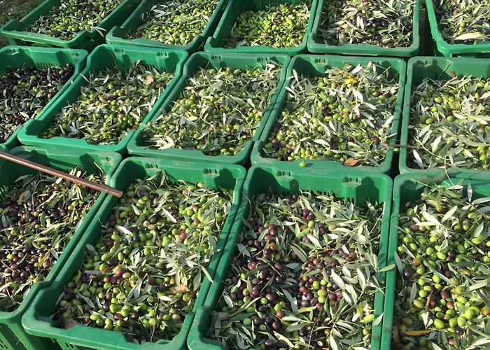 Feriehus Casa Roda *