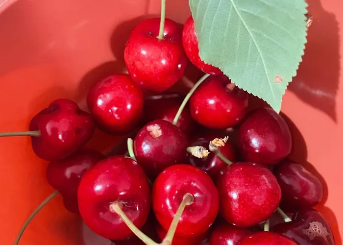 Casa Roda Дом отдыха *