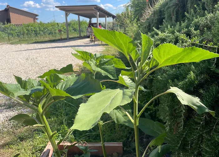 Casa Roda Дом отдыха Кастильоне-дель-Лаго