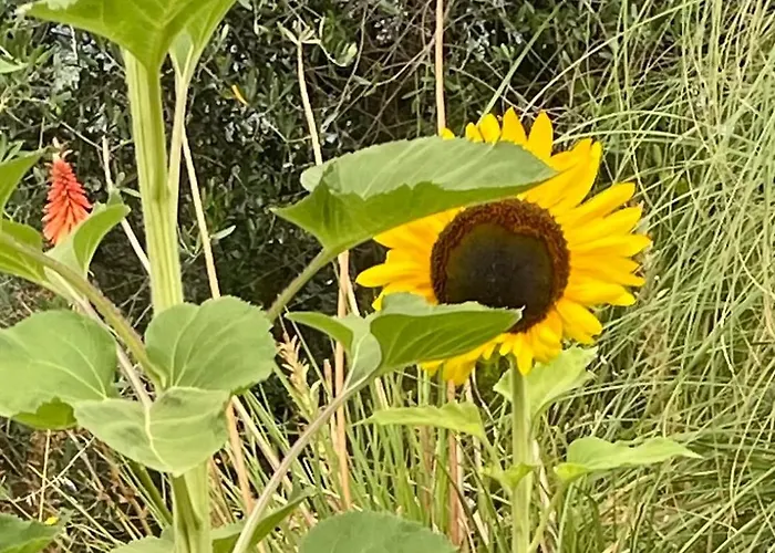Casa Roda Castiglione del Lago