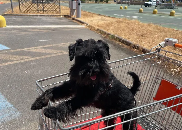 Casa Roda Дом отдыха